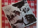Waitresses- Wasn't Tomorrow Wonderful? Vinyl LP PD-1-6346 CND