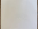 The Beatles White Album 2 LP Vinyl 2018 Capital Record Release B0028831-01
