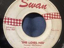 The Beatles She Loves You