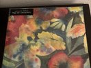Adrianne Lenker Songs and Instrumentals Vinyl Record, 2 LP