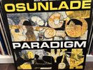 Osunlade Paradigm 2x12 LP UK Deep House Import 2001 Soul Jazz Vinyl Record