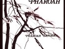Pharoah Sanders - Pharoah Deluxe Edition (Vinyl 2LP - 2023 - US - Original)