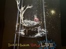 PANIC AT THE DISCO- All My Friends We're Glorious (2xLP)  Live 2017