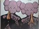 Clipse Let God Sort Em Out Clear Pink Vinyl Signed Insert