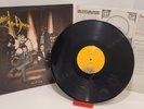 Panic  at the Disco: Vices & Virtues (LP, 2011, FP 1-526650) Vinyl Record RARE