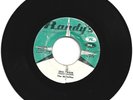 SKATALITES / SKA TRAIN / MAYTALS & SKATALITES / SOMEONE GOING TO BAWL / 7''