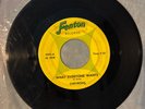 Fenton 45 rpm Vinyl record 1966 Chevrons What Everyone Wants & Hey Little Teaser
