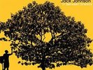 Jack Johnson - In Between Dreams [Canary Yellow Lp] - FOLK *NEW/COLOR*
