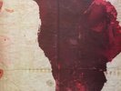 LP Gotye Like Drawing Blood 1ST EUROPEAN PRESS ON LUCKY NUMBER / INCL. CD