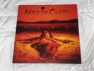 Dirt by Alice in Chains (Record, 2010)