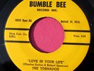 THE TORNADOS -Love in Your Life / Geni in the Jug -super clean 45 Bumble Bee 503