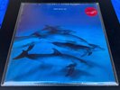 FRAZIER CHORUS - Ray LP + 12'' 1990 - UK Synth-pop RARE
