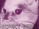Secret Shine Untouched LP vinyl UK Issue Pressed In France Sarah 1993 with promo