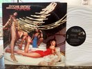 RITCHIE FAMILY - I'LL DO MY BEST 1982 RARE US LP ALBUM, FUNK BARELY PLAYED VG++