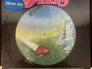 New Heart Magazine Picture Disc Vinyl Record
