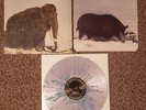 King Gizzard and The Lizard Wizard Polygondwanalan Vinyl Fuzz Club Limited  200