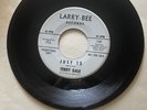 Garage Mod Fuzz 45 TERRY GALE The Voo Doo / Just 15 LARRY BEE Promo