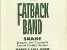 FATBACK BAND - Snake - Vinyl (12