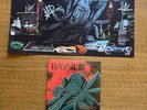 Bayside - Devotion & Desire 7