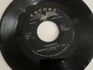 TEAKWOOD 45 RPM Suddenly You're My Life / Can You Dig It-ENCORE-VG+