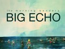 The Morning Benders - BIG ECHO VINYL - *RARE* 1st PRESS 2010 - BRAND NEW SEALED
