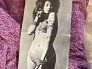 Badfinger No Dice  Gatefold Sexy Cover  Original, Apple Records ST 3367 Vinyl Lp