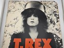 T. Rex - The Slider - 1972 - Gatefold Album - Excellent