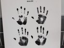 KALEO - A/B 2016 EUROPE 1st VINYL LP ATLANTIC 7567-86645-6 EX/VG+