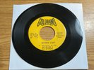 R&B BLUES 45 HOP WILSON CHICKEN STUFF GOLDBAND 1071 MINT-