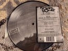 My Chemical Romance I Don't Love You / House of Wolves 7” Vinyl Picture Disc