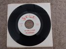 GARAGE 45 -THE BANSHEES , SO HARD TO BEAR , ORIGINAL OWNER *RARE
