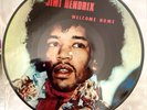 Jimi Hendrix Picture Disc 1983 Germany Vinyle