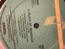 A Flock Of Seagulls LP 1982 Arista Records. Mint mint out arista company store