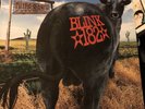 Blink 182 - Dude Ranch 2009 Brown/clear Repress LP