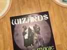 Workaholics the Wizards Purple Magic Vinyl Record 12