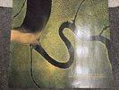 Dead Can Dance – The Serpent's Egg Vinyl LP 4AD – CAD 808, Rough Trade – RTD 92