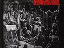 Merciless - The Awakening - LP (bi-color)