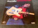 ALBERT COLLINS.  DON'T LOSE YOUR COOL