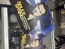 Bruce Springsteen Working On A Dream LP Record used