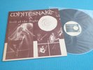WHITESNAKE LP Still Of The Night Rosemont Horizon Chicago Jul-1 1987 WS-7716