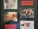 Various - Razormaid's 4th Anniversary Issue - The Atrocity Exhibition - Box Set