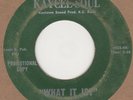 Curtis Liggins Indications What It Is (Looks G+ but plays great LISTEN ) Kaycee