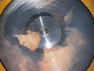 Ozzy Osbourne No More Tears Picture Disc Vinyl LP