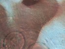 Pink Floyd Meddle 1971 issue UK VINYL LP texture gatefold slv, A4/B3