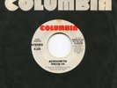 AEROSMITH STEVEN TYLER DREAM ON ORIGINAL COLUMBIA 1ST SINGLE NM DJ 45 *ONLY COPY