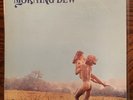 The Morning Dew - At Last - LP 1970 Psychedelic