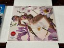 Kali Uchis- Orquídeas -LP  2024 Geffen Limited Clear Vinyl Sealed