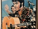 Elvis Presley Panel Deluxe Japan Vinyl 2LP RP9201-2
