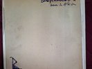 DOWN IN THE ALBION - BABYSHAMBLES ROUGH TRADE RECORDS 2005 VINYL LP INDIE ROCK