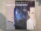 Brian Wilson Brian Wilson vinyl LP